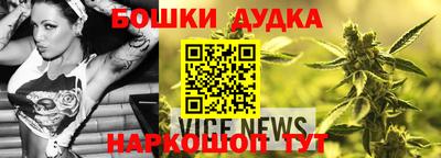 прущие грибы Лесосибирск