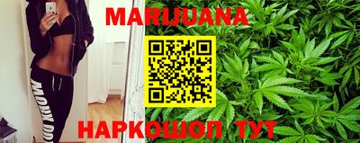 прущие грибы Лесосибирск