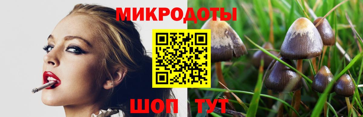 Дмитров  купить наркотик  Псилоцибиновые грибы прущие грибы  Вход с VPN  Галлюциногенные грибы GOLDEN TEACHER 